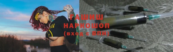 гидра Кодинск