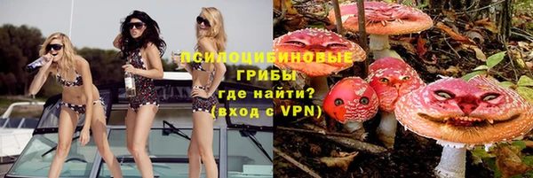 дживик Алексеевка
