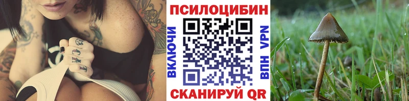 Псилоцибиновые грибы Magic Shrooms  это клад  Межгорье 